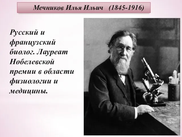 Мечников Илья Ильич (1845-1916) Русский и французский биолог. Лауреат Нобелевской премии в области физиологии и медицины.