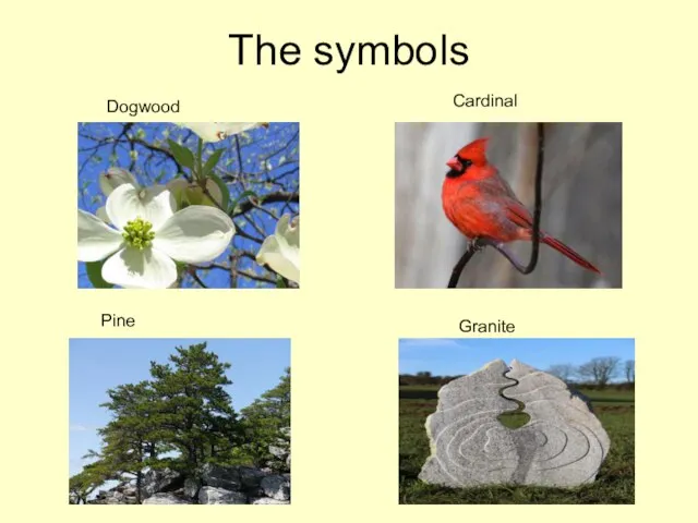 The symbols Dogwood Cardinal Pine Granite