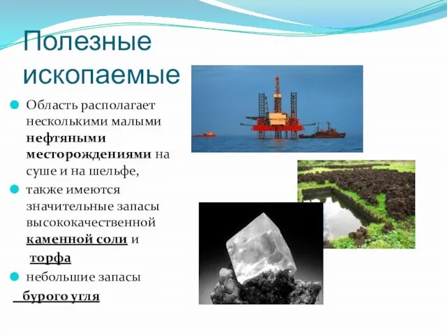 Полезные ископаемые Область располагает несколькими малыми нефтяными месторождениями на суше и на