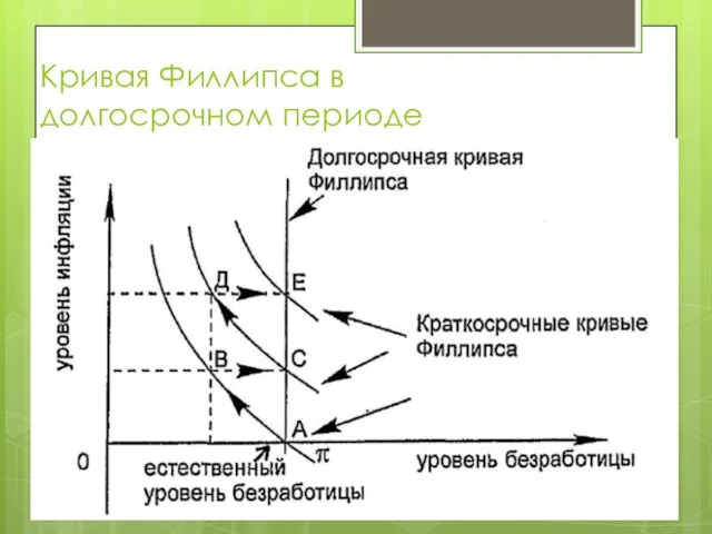 Кривая Филлипса в долгосрочном периоде