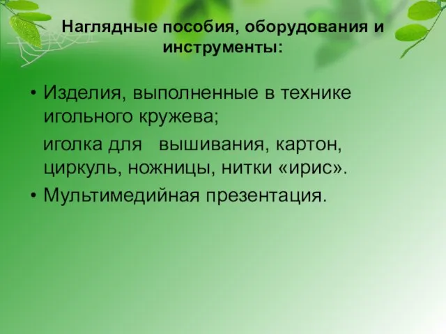 Наглядные пособия, оборудования и инструменты: Изделия, выполненные в технике игольного кружева; иголка