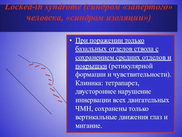 Locked-in syndrome (синдром «запертого» человека, «синдром изоляции») При поражении только базальных отделов