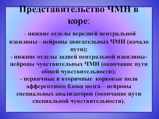 Представительство ЧМН в коре: - нижние отделы передней центральной извилины - нейроны