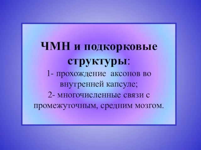 ЧМН и подкорковые структуры: 1- прохождение аксонов во внутренней капсуле; 2- многочисленные