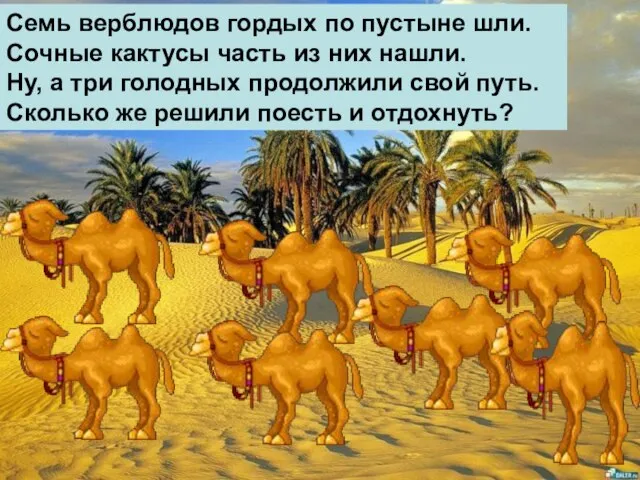Семь верблюдов гордых по пустыне шли. Сочные кактусы часть из них нашли.