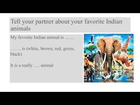 Tell your partner about your favorite Indian animals .