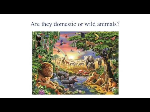 Are they domestic or wild animals?