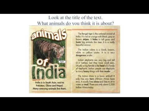Look at the title of the text. What animals do you think it is about?
