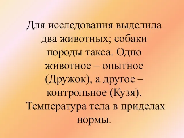 Для исследования выделила два животных; собаки породы такса. Одно животное – опытное