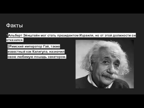 Факты 1Альберт Эйнштейн мог стать президентом Израиля, но от этой должности он