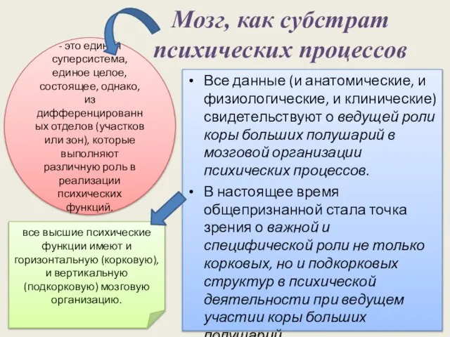 Мозг, как субстрат психических процессов Все данные (и анатомические, и физиологические, и