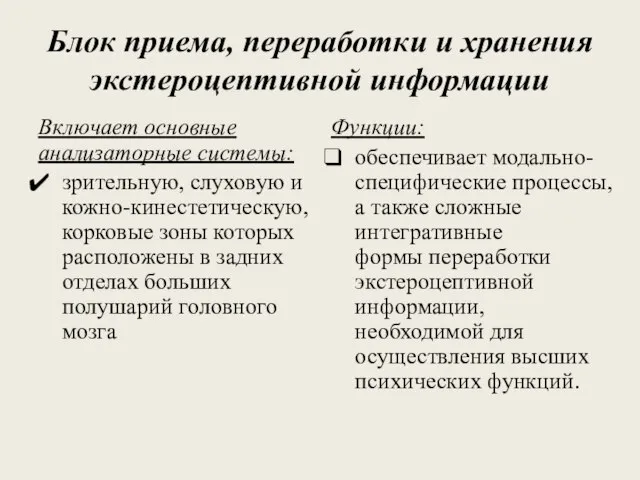 Блок приема, переработки и хранения экстероцептивной информации Включает основные анализаторные системы: зрительную,