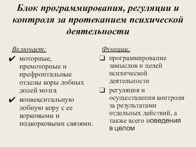 Блок программирования, регуляции и контроля за протеканием психической деятельности Включает: моторные, премоторные