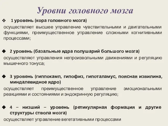 Уровни головного мозга 1 уровень (кора головного мозга) осуществляет высшее управление чувствительными