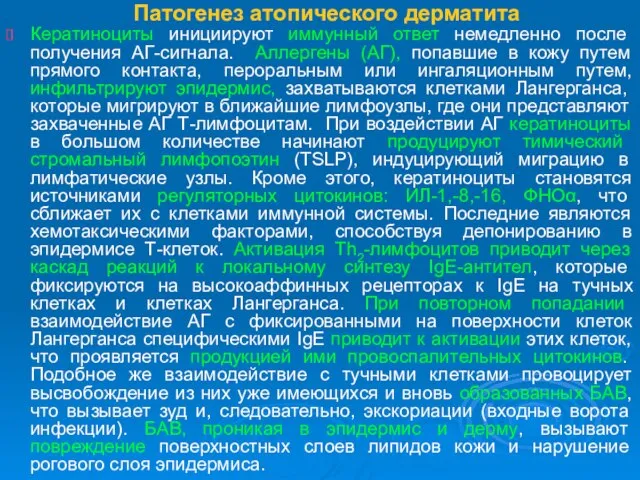 Патогенез атопического дерматита Кератиноциты инициируют иммунный ответ немедленно после получения АГ-сигнала. Аллергены