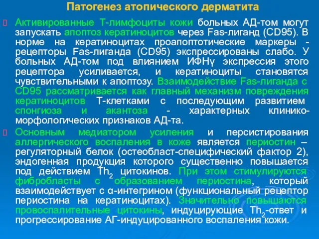 Патогенез атопического дерматита Активированные Т-лимфоциты кожи больных АД-том могут запускать апоптоз кератиноцитов