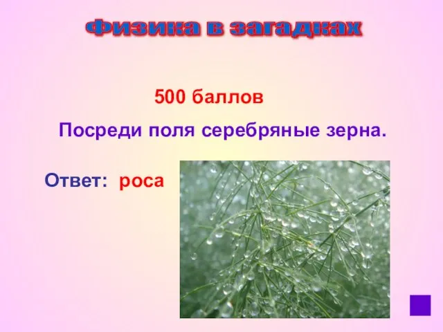 Физика в загадках 500 баллов Посреди поля серебряные зерна. Ответ: роса