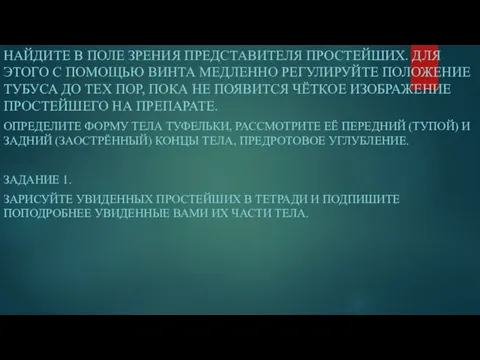 НАЙДИТЕ В ПОЛЕ ЗРЕНИЯ ПРЕДСТАВИТЕЛЯ ПРОСТЕЙШИХ. ДЛЯ ЭТОГО С ПОМОЩЬЮ ВИНТА МЕДЛЕННО