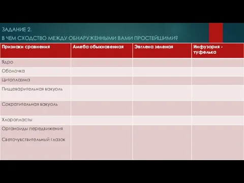 ЗАДАНИЕ 2. В ЧЕМ СХОДСТВО МЕЖДУ ОБНАРУЖЕННЫМИ ВАМИ ПРОСТЕЙШИМИ?