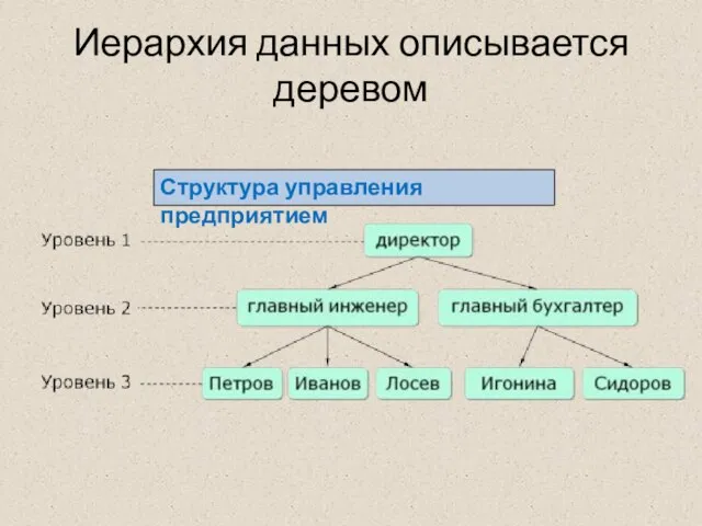 Иерархия данных описывается деревом Структура управления предприятием