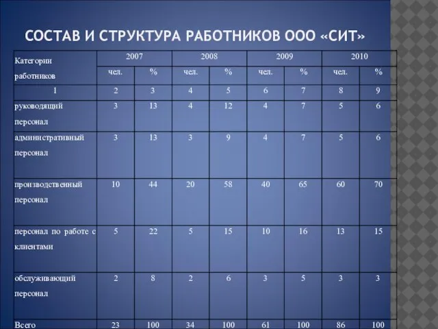 СОСТАВ И СТРУКТУРА РАБОТНИКОВ ООО «СИТ»