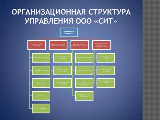 ОРГАНИЗАЦИОННАЯ СТРУКТУРА УПРАВЛЕНИЯ ООО «СИТ»