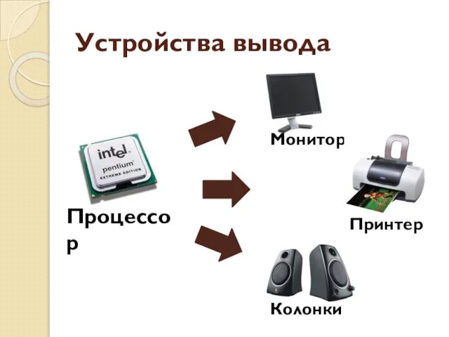 Устройства вывода Колонки Процессор