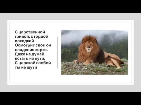 С царственной гривой, с гордой походкой Осмотрит свои он владения зорко. Даже