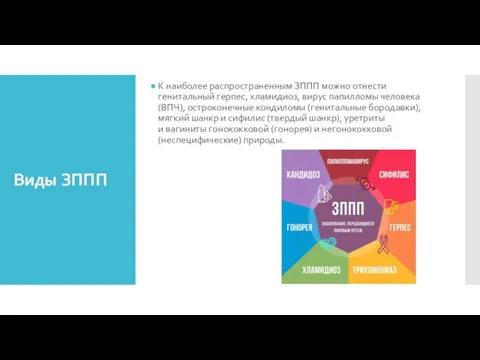 Виды ЗППП К наиболее распространенным ЗППП можно отнести генитальный герпес, хламидиоз, вирус