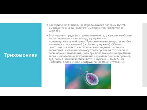 Трихомониаз Бактериальная инфекция, передающаяся половым путём. Вызывается она одноклеточным паразитом Trichomonas vaginalis.