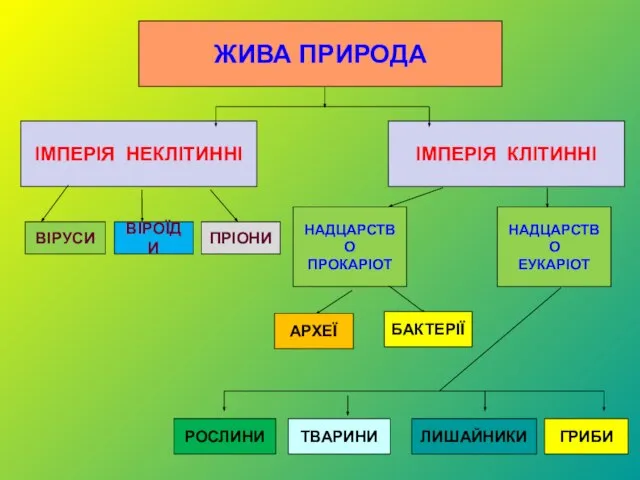 ЖИВА ПРИРОДА РОСЛИНИ ТВАРИНИ ЛИШАЙНИКИ ГРИБИ ІМПЕРІЯ КЛІТИННІ ІМПЕРІЯ НЕКЛІТИННІ ВІРУСИ НАДЦАРСТВО