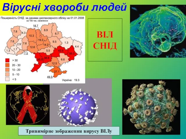 Тривимірне зображення вирусу ВІЛу ВІЛ СНІД Вірусні хвороби людей