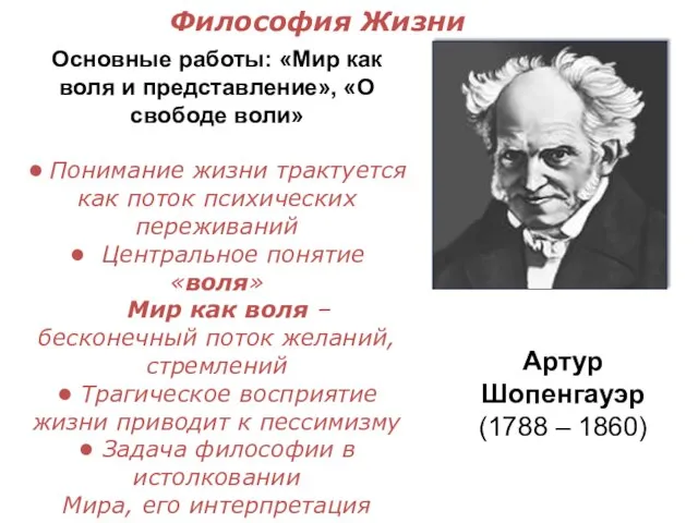 Основные работы: «Мир как воля и представление», «О свободе воли» • Понимание