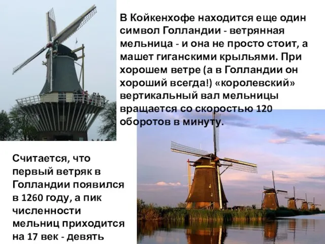 В Койкенхофе находится еще один символ Голландии - ветрянная мельница - и