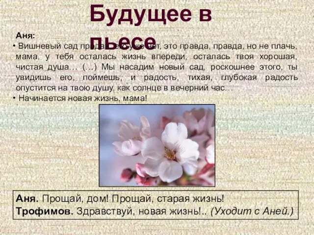 Будущее в пьесе Аня: Вишневый сад продан, его уже нет, это правда,