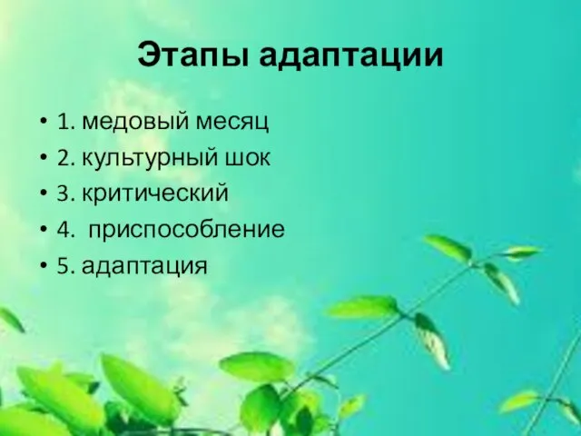 Этапы адаптации 1. медовый месяц 2. культурный шок 3. критический 4. приспособление 5. адаптация