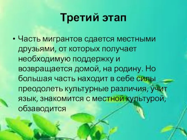 Третий этап Часть мигрантов сдается местными друзьями, от которых получает необходимую поддержку