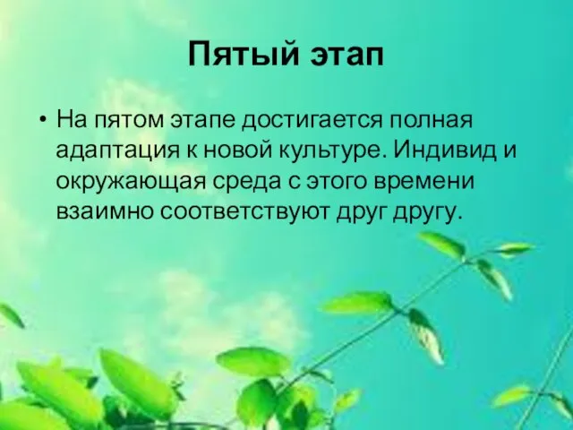 Пятый этап На пятом этапе достигается полная адаптация к новой культуре. Индивид