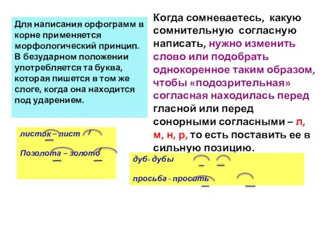 Для написания орфограмм в корне применяется морфологический принцип. В безударном положении употребляется