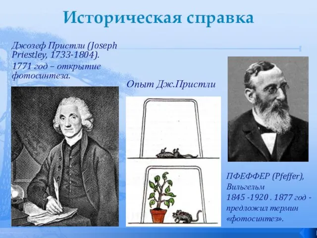 Историческая справка Джозеф Пристли (Joseph Priestley, 1733-1804). 1771 год – открытие фотосинтеза.