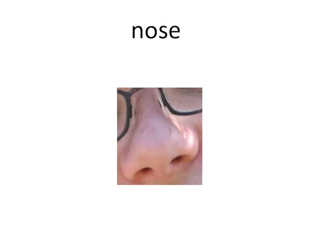 nose