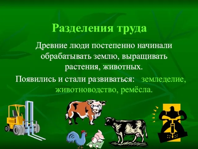 Разделения труда Древние люди постепенно начинали обрабатывать землю, выращивать растения, животных. Появились