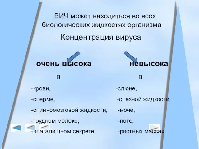 ВИЧ может находиться во всех биологических жидкостях организма Концентрация вируса очень высока