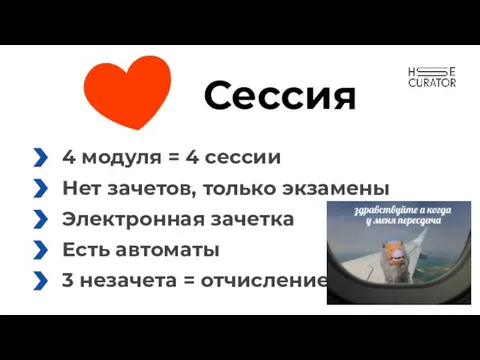 Сессия Нет зачетов, только экзамены 4 модуля = 4 сессии Электронная зачетка