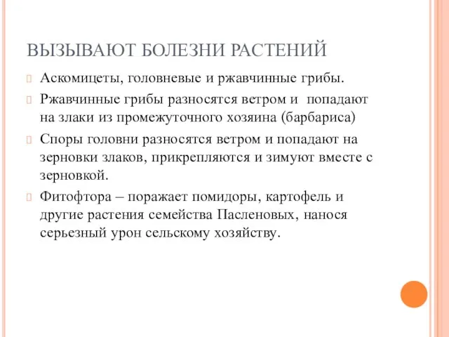 ВЫЗЫВАЮТ БОЛЕЗНИ РАСТЕНИЙ Аскомицеты, головневые и ржавчинные грибы. Ржавчинные грибы разносятся ветром