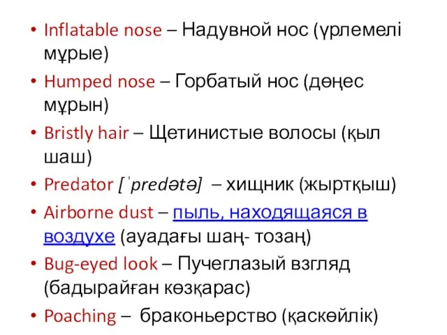 Inflatable nose – Надувной нос (үрлемелі мұрые) Humped nose – Горбатый нос