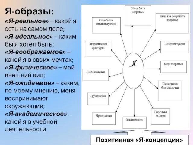 Я-образы: «Я-реальное» – какой я есть на самом деле; «Я-идеальное» – каким