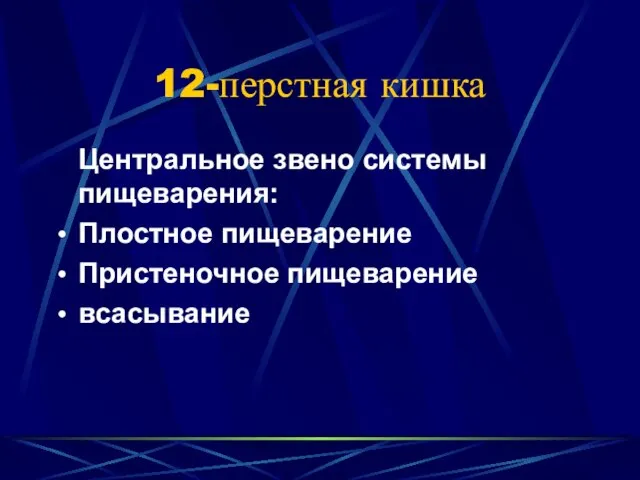 12-перстная кишка Центральное звено системы пищеварения: Плостное пищеварение Пристеночное пищеварение всасывание