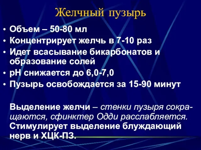 Желчный пузырь Объем – 50-80 мл Концентрирует желчь в 7-10 раз Идет