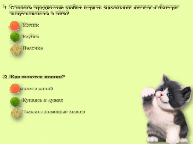 1. С каким предметом любят играть маленькие котята и быстро запутываются в